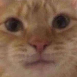 Meet your Posher, Aiden